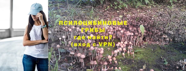a pvp Гусь-Хрустальный
