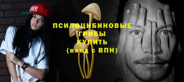 a pvp Гусь-Хрустальный