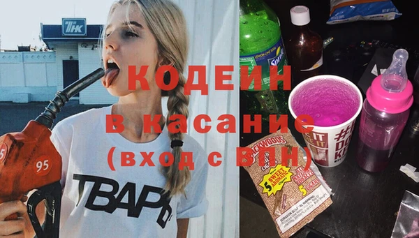 таблы Гусев
