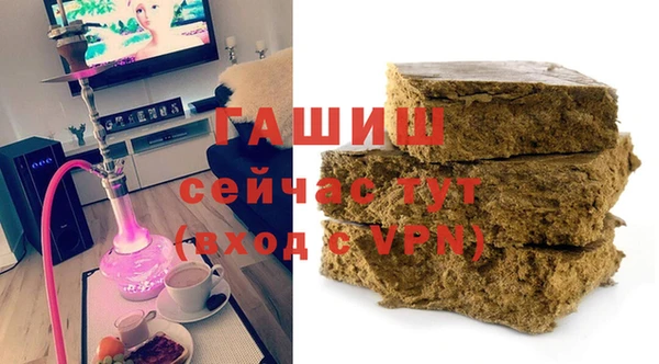 таблы Гусев