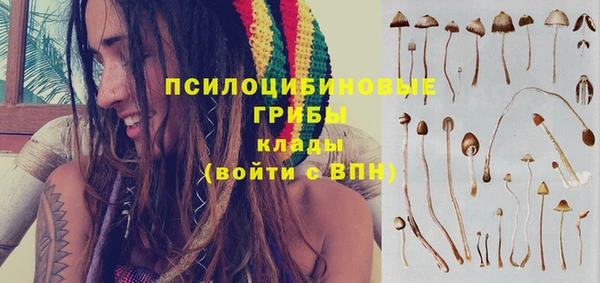 прущая мука Гусиноозёрск