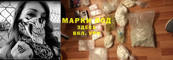 таблы Гусев