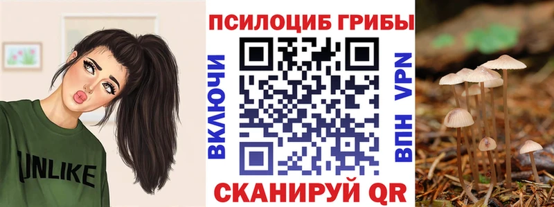Галлюциногенные грибы Cubensis  Купить где  Енисейск 